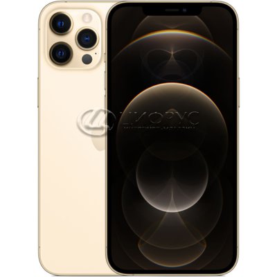 Apple iPhone 12 Pro Max 128Gb Gold (A2410, JP) - 
