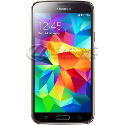 Samsung Galaxy S5 G900F 16Gb LTE Gold - 